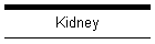 Kidney